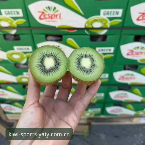 揭秘奇异果体育网址使用技巧：2026新版背后的高效操作法则
